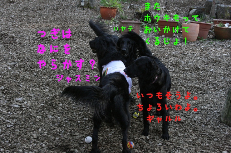 c0237824_10524293.jpg