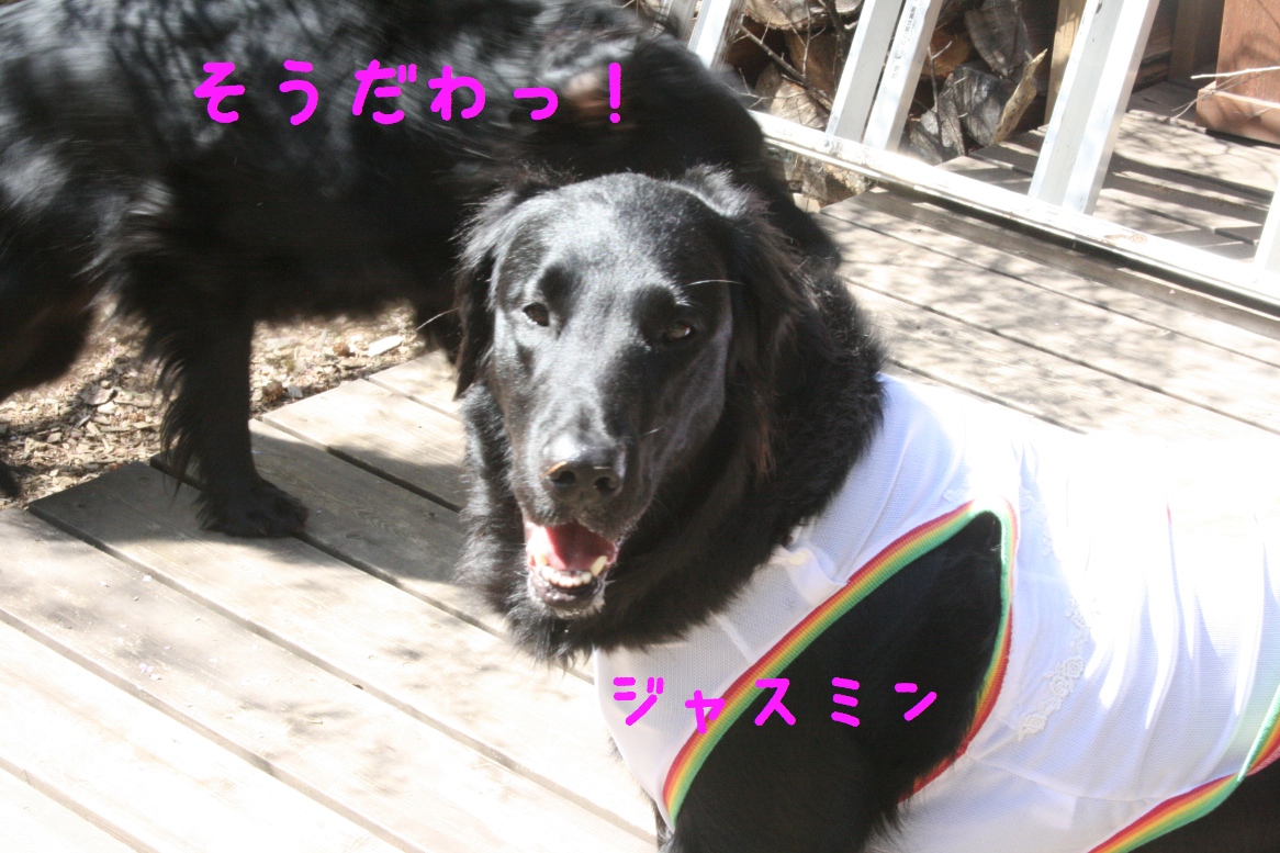 c0237824_1053362.jpg