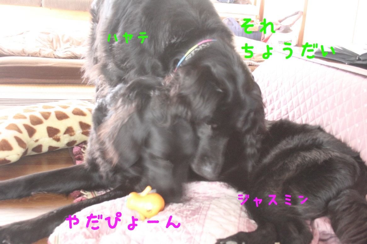 c0237824_11124291.jpg