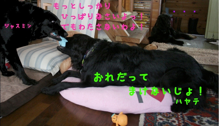 c0237824_2229282.jpg