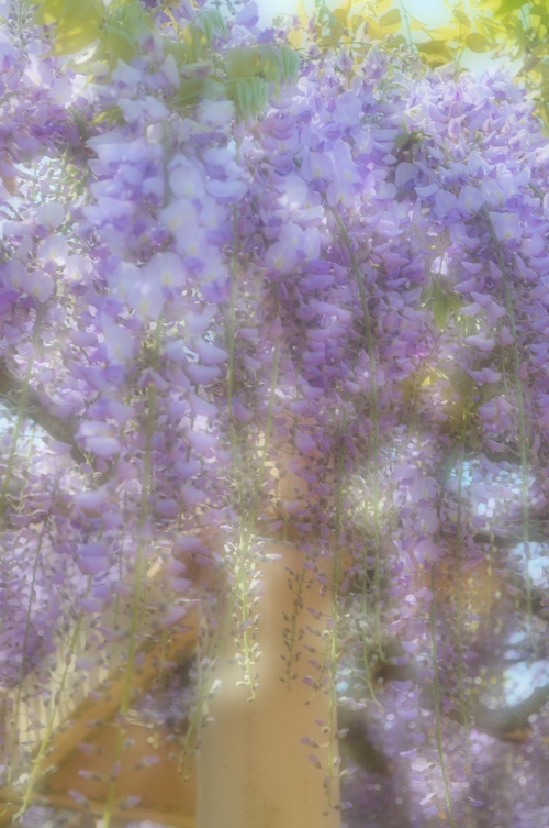 a0248728_17303475.jpg
