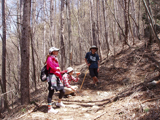 c0078829_14105821.jpg