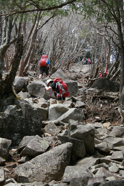 c0078829_1453922.jpg