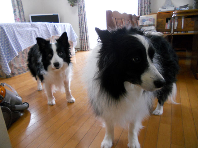 d0059230_835244.jpg