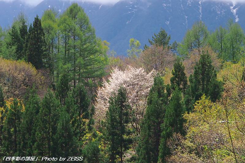 a0195032_20243157.jpg