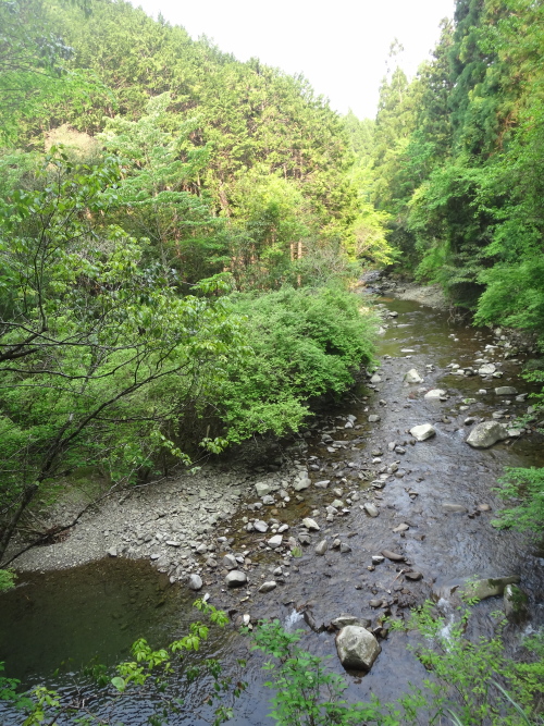 a0156834_11164525.jpg