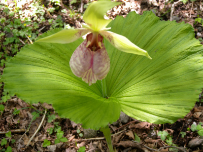 e0272335_20124115.jpg