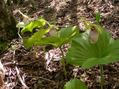 e0272335_20204170.jpg
