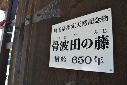e0228938_19232236.jpg