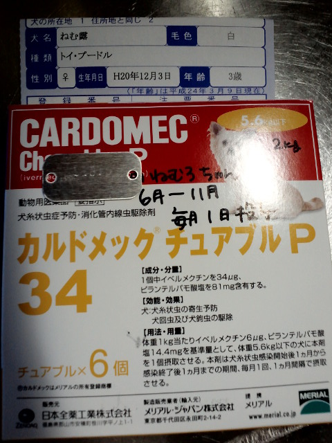 c0117239_5544589.jpg