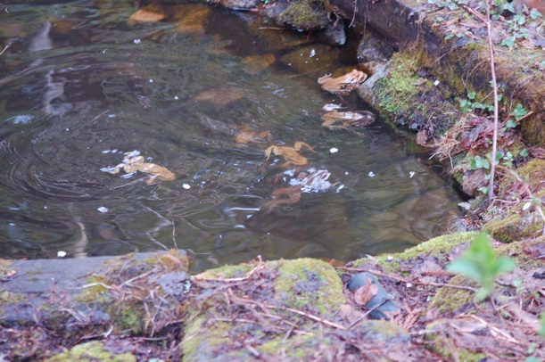 c0002943_1924855.jpg