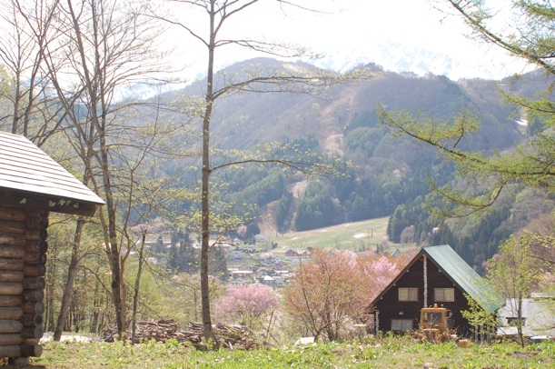 c0002943_19293983.jpg