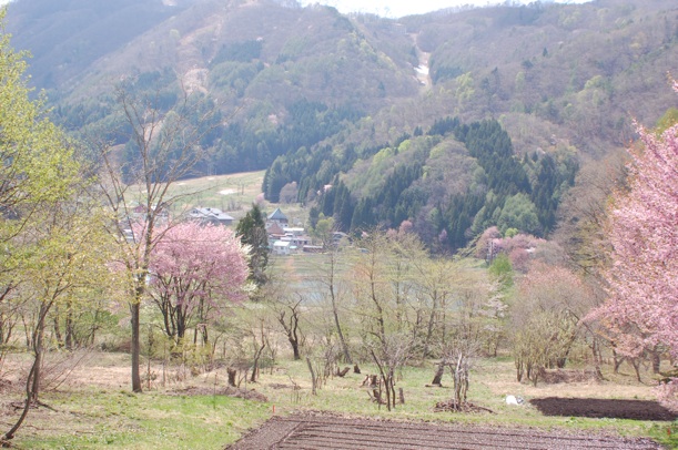 c0002943_19313470.jpg