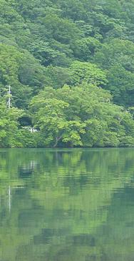 c0225143_23122437.jpg