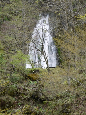 e0100046_21124838.jpg