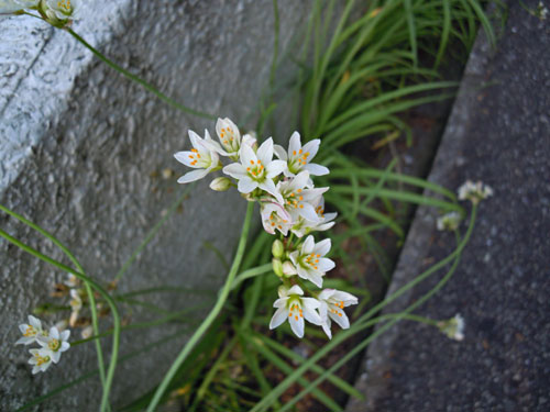 e0034047_23452778.jpg