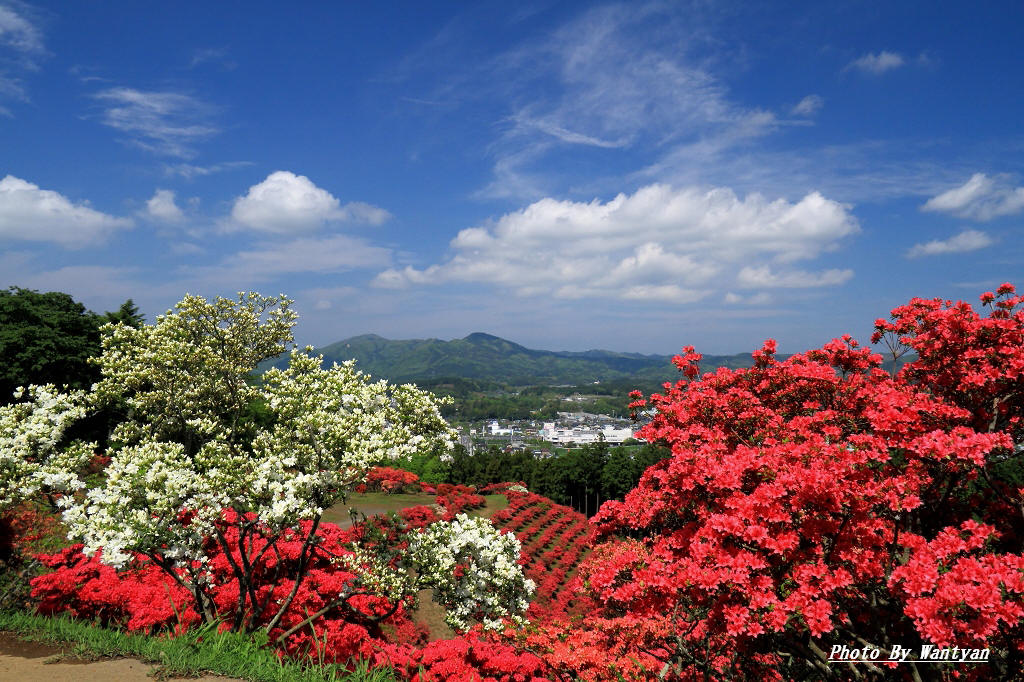e0229455_0373224.jpg