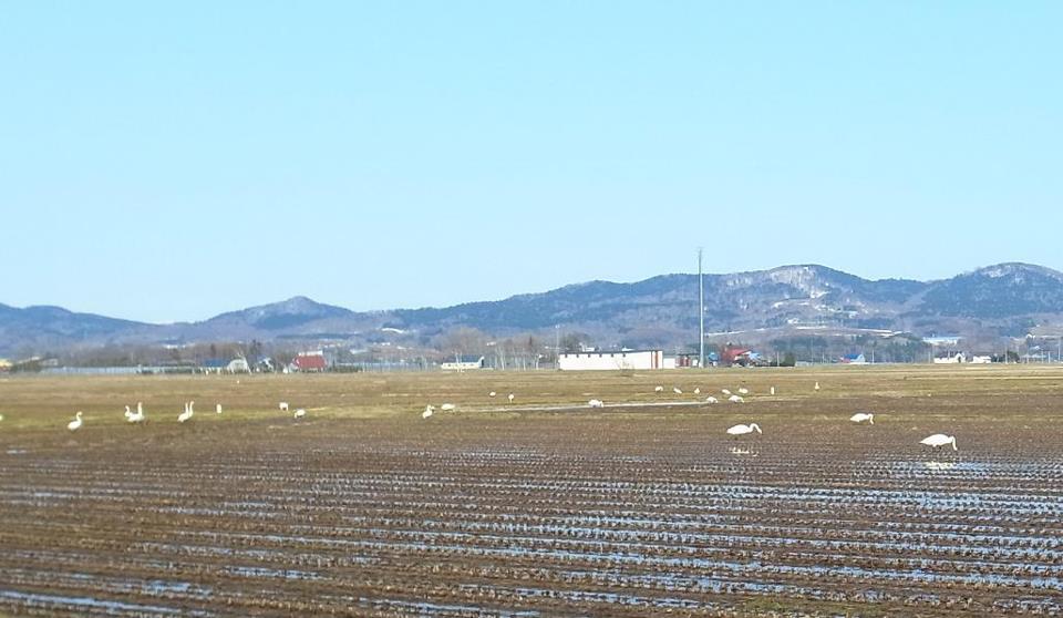 f0149057_206206.jpg