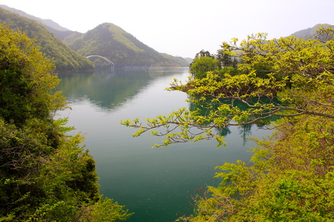 a0248459_359368.jpg