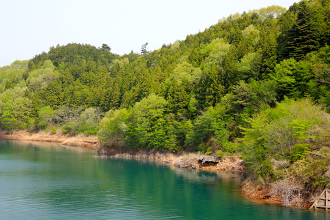 a0248459_40337.jpg