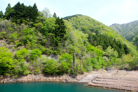 a0248459_404711.jpg