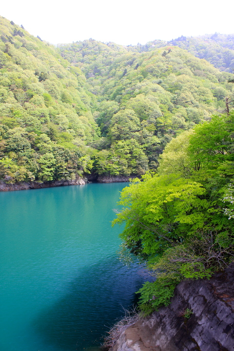 a0248459_5553719.jpg