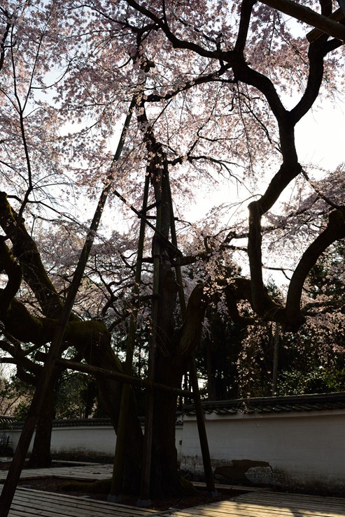 f0222161_1448332.jpg