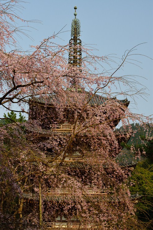 f0222161_22173946.jpg
