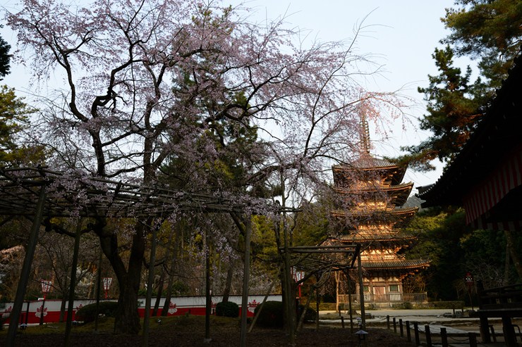 f0222161_22181449.jpg