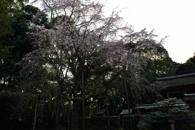 f0222161_2218434.jpg