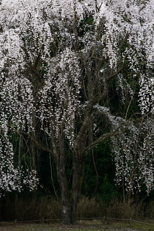 f0222161_2218459.jpg
