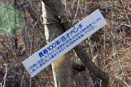 c0149178_11203681.jpg