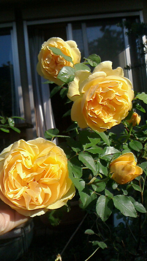 f0215179_8484426.jpg