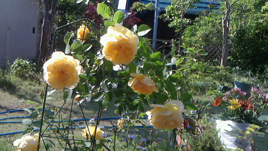 f0215179_8492212.jpg