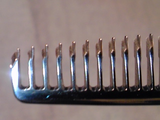 c0096582_2211514.jpg