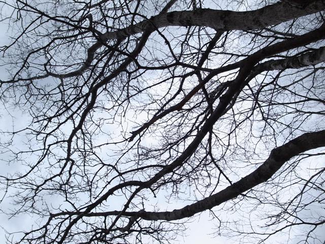 c0172882_15113534.jpg
