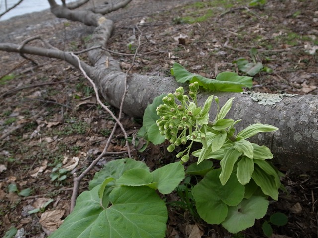 c0172882_15211112.jpg