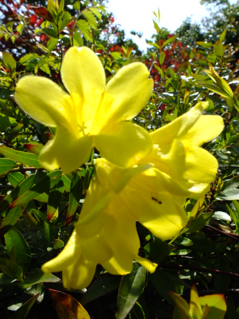 e0145782_1835107.jpg