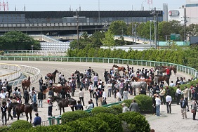 f0069890_23394321.jpg