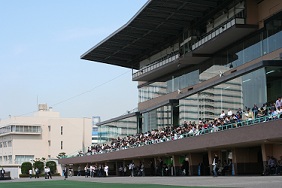 f0069890_2339639.jpg