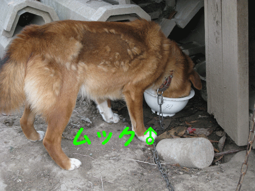 e0212095_1101284.gif