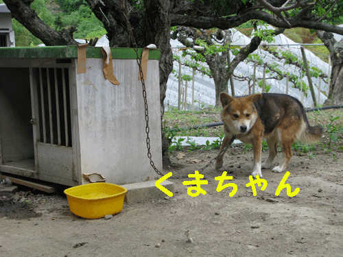 e0212095_195320.gif