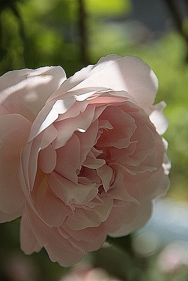 e0209997_0463975.jpg