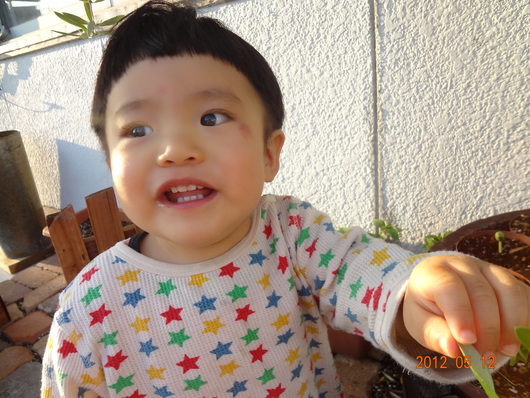a0122198_0141368.jpg