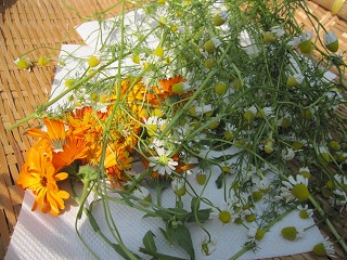c0152002_1820815.jpg