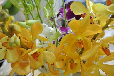 a0134004_21464711.jpg