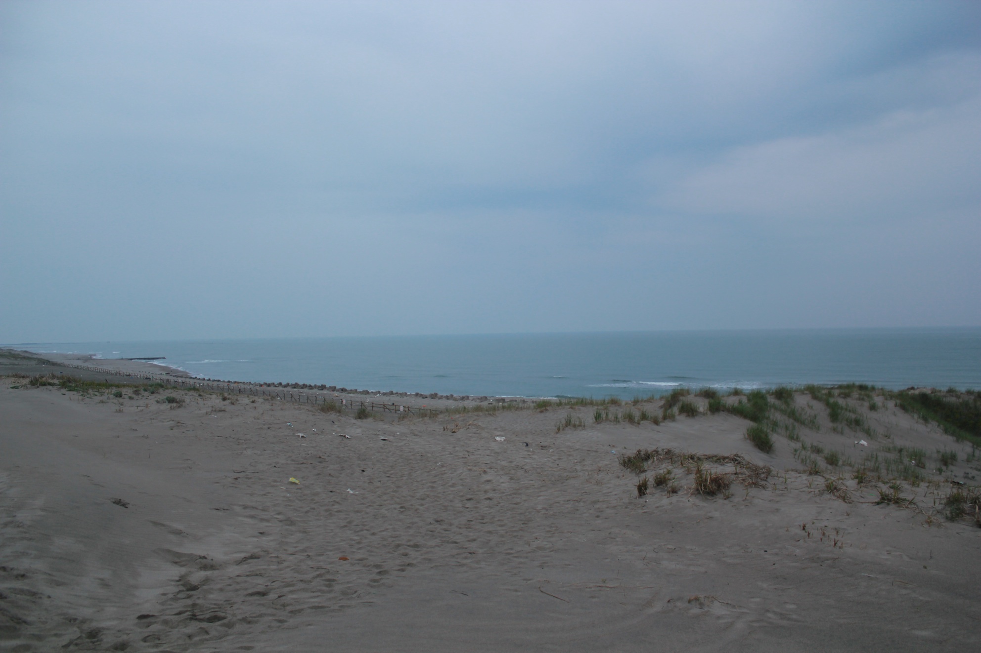 a0264604_731186.jpg