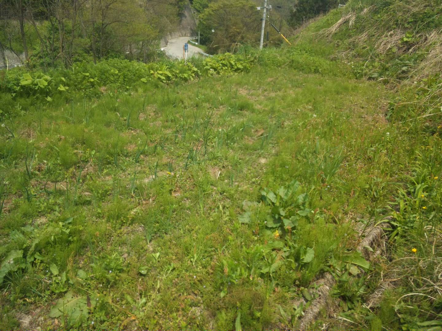 c0126205_19154319.jpg