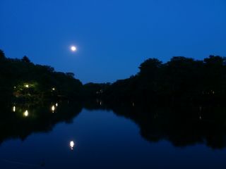 d0131207_121156.jpg