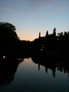 d0131207_1211861.jpg